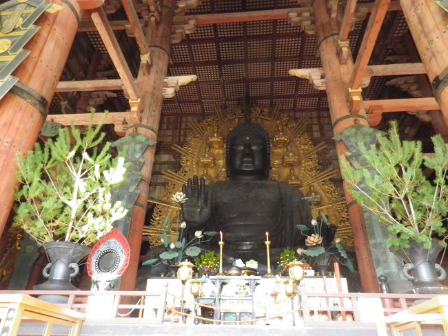 １１月7日（火）奈良の旅二日目。興福寺で阿修羅像を拝観。東大寺で大仏様を拝観。修学旅行の学生さんに混じって仏様を鑑賞させて頂きました。殊に阿修羅像はじっくりと右のお顔１０分、前のお顔１０分、左のお顔１０分、の感じで拝観させて頂きました。二メートルほどの距離で見るお顔はすごい。感動しました。東大寺大仏殿の大仏様大きかった。鎌倉の大仏様は空を背景にするので大きさが測れませんが、大仏殿の大きさで推し測れる奈良の大仏は大きい。