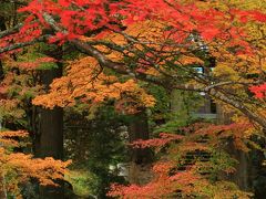 京都　紅葉めぐり～苗秀寺、神蔵寺、桜天満宮、摩氣神社、龍穏寺、玉雲寺