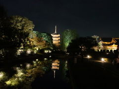 京都ライトアップに行ってみた。。