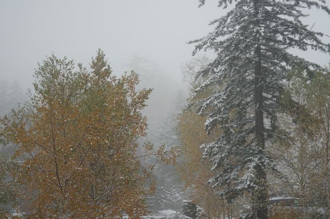 日本一早い紅葉に雪。冬が来てしまった旭岳温泉