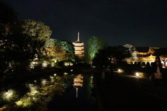 11月3連休に京都に行きました。ライトアップが見たかったので高台寺と東寺をはしごです。