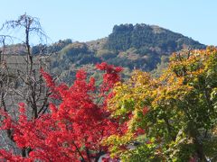 久しぶりの秩父ハイキング①長瀞駅～宝登山ロープウエイ山頂迄