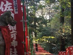 江ノ島 鎌倉2泊3日 歩き倒しの初冬旅 其の一 藤沢 江ノ島 神奈川県 の旅行記 ブログ By Hiro Miさん フォートラベル