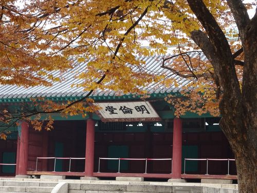成均館 韓国 大学 ジャンパー （成均館大学 - 株式会社