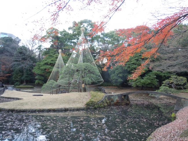 冬の初めの、ちょっぴり遅い紅葉狩り。