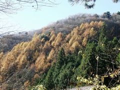 病後・苦いデビューとなった都民の森と三頭山登山・記