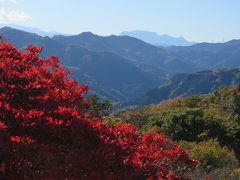 久しぶりの秩父ハイキング②宝登山山頂駅～宝登山山頂