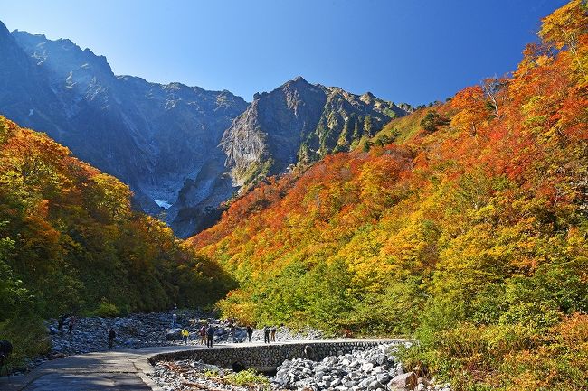 毎年一度は紅葉を見たくなる。昨年は10月下旬に仙台から栗駒山方面ドライブ、一昨年も10月下旬に沼田・金精峠・奥日光方面ドライブに日帰りで行っている。今年もどこかに行きたいと思っていると、10月初め頃にテレビで最近の人気ナンバーワン温泉として露天風呂で有名な群馬県宝川温泉の紹介を行っていた。水上温泉の近くであり、同じく近くの谷川岳には紅葉の時期には20年程前に、夏には数年前に行っているので土地勘や馴染みがあり、紅葉も見頃で仕事や女房の都合も良い10月下旬の平日に、今度は一泊で行こうとなった。<br /><br />テレビを見てから暫く経った頃、宝川温泉に一軒しかない汪泉閣にウェブで予約を入れようとすると、すべての日が満室となっている。テレビの影響は大きいようだったが、ここは日帰り施設も充実しているので、次善の策として、近くの適当な旅館(ホテル)に宿泊して、紅葉と日帰りの宝川温泉を楽しむべく予約を行った。<br /><br />最近は、ビッグデータと称してインターネットにアクセスすると、ネットショッピングを行った物や旅行の案内がYAHOOやGOOGLEのホームページ横に出現するようになっている。実際に購入や予約したものだけではなく、探したり検討したものまで手を変え品を変えて出てきている。旅館の予約はもう済んでいるので、それらの広告は無視していたが、旅行の1週間ほど前に何となく汪泉閣の広告をクリックしてみると、何と希望日に1室だけ空きが出ていた!これ幸いと、詳細条件は未確認のまま予約を行った。予約後、じっくり調べてみると、本館角部屋、食事室での会席料理という比較的グレードの高いものだったが、それでも一人18,000円と人気の割には利用しやすい料金だった。最初に予約した旅館は、申し訳ないがキャンセルだ。旅行全般について言えることと思うが、大まかな計画で予約を行い、直前にスケジュールが確定してくると、キャンセル料が発生する前にキャンセルをするという人が多いようだ。今年は、10月21日と28日の週末に台風接近があったので、週末だけではなくその間の週日も尚更キャンセルが多かったのかもしれない。<br /><br />いずれにしろ、台風21号と台風22号の間の秋晴れの2日間に、水上温泉近辺の紅葉と温泉を楽しむことが出来た。訪れた先は、以下の通りとなる。<br /><br />□奈良俣ダム(1日目)<br />□照葉峡(1日目)<br />□宝川温泉汪泉閣(1日目泊)<br />■宝泉峡(2日目)<br />■一の倉沢(2日目)<br />■谷川岳ロープウェイ(2日目)<br /><br />□は前々回と前回、■は今回の紹介となり、宿泊した宝川温泉近くの宝泉峡と、車で30分ほど離れた谷川岳周辺(一ノ倉沢と谷川岳ロープウェイ)の観光の模様となる。