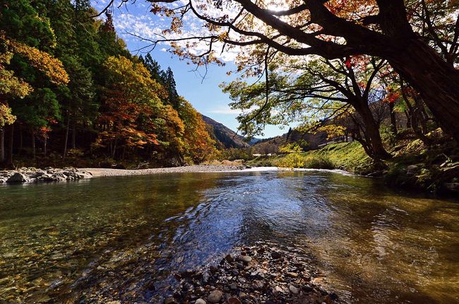 道の駅パスカル清見<br /><br />郡上八幡から明宝～清見、高山の道の間にある道の駅<br /><br />飛騨せせらぎ街道が明宝の道の駅に<br />立ち寄ろうとしたが、紅葉はまだなので先を急いだ。<br /><br />清見町を縦断する国道257号線、<br />郡上八幡から高山へ抜ける「せせらぎ街道」のほぼ中間地点にあります。<br />「せせらぎ街道」は紅葉の名所で、「パスカル清見」は休憩ポイントとしても人気があります。<br />秋には一面を埋め尽くす紅葉が、<br />すぐ横を綺麗な「馬瀬川」が流れ、<br />周りの山も紅葉に染まってるので足を止めました。<br /><br />敷地内に植えられた紅葉も見頃を迎え辺りを散策すれば<br />ドライブの疲れも癒やされます。<br /><br />街道は元有料道路だっただが、今は無料になりました、<br />と同時に<br />高山まで高速道路が出来、せせらぎ街道の交通量も減り、<br />以前と比べて駐車場の混雑も大分少なくなりました。<br /><br /><br />今回のルートは、国道472号線で「パスカル清見」の紅葉を楽しみ。<br />「パスカル清見」道の駅から国道257号線方面の下呂市へ<br />禅昌寺へ<br />又は、下呂＆合掌村の紅葉　https://4travel.jp/travelogue/10203882<br />と思ったが、いたるところで工事・・台風でしょうか?<br />その道を逸れて国道257号線から県道431号線へ<br />馬瀬街道へ行くことにしました。<br />県道431号線東仙峡金山湖馬瀬大橋へ<br />更に南に向かい金山へ向かって県道86号線岩屋ダム<br />道を変更しただけに、寄り道大回りになりました。<br />帰るのに、相当有して（思うような紅葉撮れず）疲れました。<br /><br /><br />**以前はよく行きましたが****過去の写真記録　******<br /><br />2009紅葉　せせらぎ街道<br />http://4travel.jp/travelogue/10400366<br />2008紅葉　せせらぎ街道<br />http://4travel.jp/traveler/isazi/album/10288896/<br />2008下呂の町＆下呂合掌村を散策<br />http://4travel.jp/traveler/isazi/album/10286067/<br />2007下呂の町＆下呂合掌村を散策<br />http://4travel.jp/traveler/isazi/album/10203882/<br /><br />*************************************************<br />2017紅葉（1）<br />　せせらぎ街道《道の駅パスカル清見》から馬瀬街道の紅葉<br />　　　https://4travel.jp/travelogue/11302286<br />2017紅葉（2）<br />　ひるがの高原「牧歌の里」　～紅葉～　<br />　　　https://4travel.jp/travelogue/11302924<br />2017紅葉（3）<br />　岐阜県各務原公園・自然の遺産の森・法福寺の紅葉<br />　　　https://4travel.jp/travelogue/11304850<br />2017紅葉（4）<br />　“美濃の正倉院”両界山横蔵寺の紅葉<br />　　　https://4travel.jp/travelogue/11304296<br />2017紅葉（5）<br />　曽木公園の紅葉&amp;駄知公民館まつり（Belly Dance studio Eshta）<br />　　　https://4travel.jp/travelogue/11306155<br />2017紅葉（6）<br />　多治見・虎渓山永保寺の秋彩紅葉<br />2017紅葉（7）<br />　各務原パークウェイの紅葉<br />2017紅葉（8）<br />　東海一の紅葉・足助/香嵐渓の紅葉<br />2017紅葉（9）<br />　小原四季桜まつり・川見四季桜公園の紅葉<br />2017紅葉（10）<br />　 紅葉を愛でながら博物館明治村散策