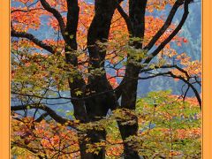 Solitary Journey ［1834］ 赤黄に染まった里山風景♪秋色に彩られた西中国山地を走る。＜MRC・中道・スパ羅漢・重なり岩＞広島県廿日市市