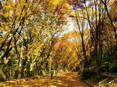 ソウル・紅葉と町歩きの旅（３）