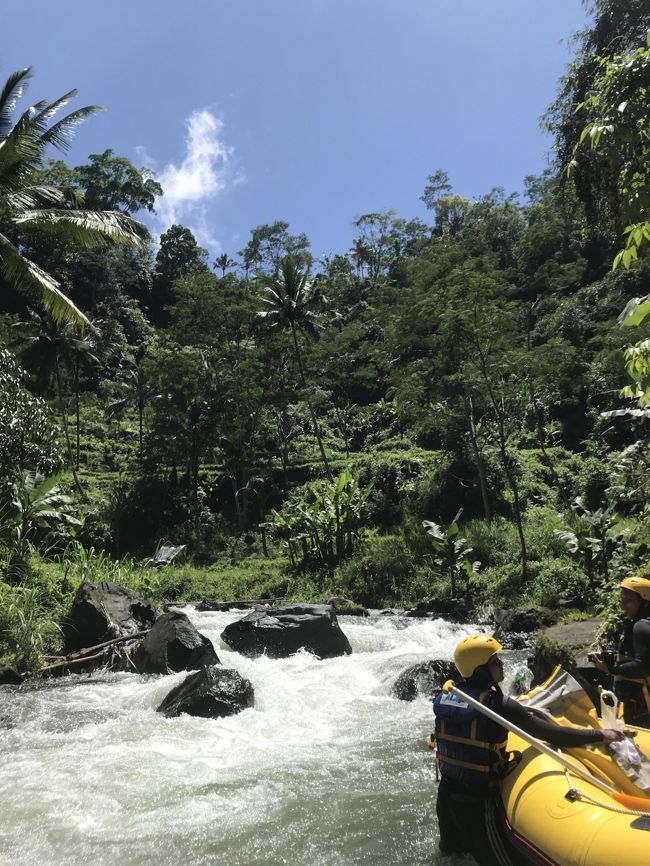 とうとうアグン山は噴火してしまいましたが、出発直前までアグン山に悩まされながらも、1年10か月ぶりにバリ島をリピートした熟年夫婦の旅行記 Part 2 です。<br />前半３日はアクティブに行動し、後半は宿泊を夢見ていたフォーシーズンズサヤンでまったりステイ。<br />ホテル１泊目　Aston Kuta Hotel &amp; Residence<br />　２～３泊目　Barong Resort &amp; Spa<br />　３～６泊目　Four Seasons Resort Bali at Sayan<br />カーチャーターはドイバリチーム