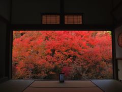 但馬の紅葉巡りに行ってきました！　但馬安國禅寺～猿尾滝～養父神社