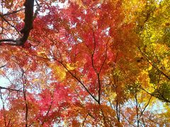 ソウル・紅葉と町歩きの旅（４）