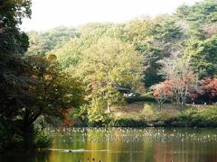 比企郡吉見町の比企丘陵を紅葉と遺跡を求めて歩く・・・①八丁湖一周ウォーキングコースを歩く