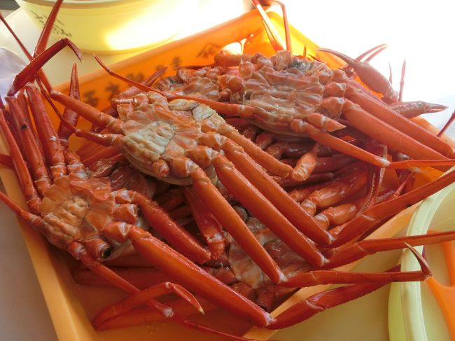 「カニをたくさん食べたい!でもゴミが大量に出るのが嫌!」という我が儘な気持ちに応えてくれるのが「道の駅 マリンドリーム能生」にある「かにや横丁」です。無料休憩施設の「カニかに館」で食べてもよし!かにや横丁裏の海に面した広い公園で食べてもよし!というところです。カニを食べるためのハサミやお手拭きもサービスしてくれますし、手洗い場もありますので、食べた後もベタベタせずに快適でした。<br />新潟から能生まで、高速道路を使用して、片道約2時間の移動でした。