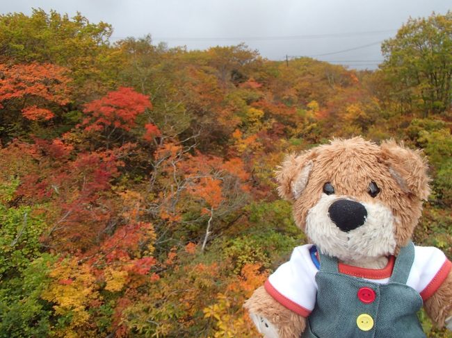 10月の3連休に一日休みを足して、山形、宮城、岩手をレンタカーで巡った。<br /><br /><4日目の主な旅程><br />作並温泉(ホテル)→蔵王エコーラインドライブ レンタカー<br />↓<br />蔵王レストハウスでランチ、お釜見学は雨・霧の為、断念<br />↓<br />蔵王レストハウス→天童 レンタカー<br />↓<br />王将果樹園のOh!Show!Caféにて季節のフルーツパフェ<br />↓<br />天童→山形空港 レンタカー<br />↓<br />おいしい山形空港(19:00発)→羽田空港(20:05着)JAL178便