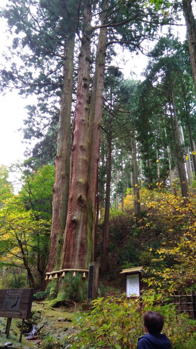 娘に誘われて行ってきました。最初は御岩神社、2番目は大洗磯前神社、<br />3番目は笠間稲荷です。<br />パワースポットっていうことと、ご朱印集めということで若い人が<br />多かったかな。いつもはおじさんおばさんばかりなのでちょっと新鮮。<br />皆ご朱印戴くために参拝も疎かに（考えすぎ？）<br />道沿いは木々の紅葉がきれいでした。