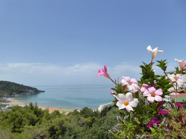 6月21日-7月12日の20泊22日、イタリア　プーリア州へ行きました♪<br />観光・グルメ・海水浴をたっぷりと楽しんできました♪<br /><br />☆Ｖｏｌ３８９：第20日目（７月10日）ペスキチ（フォッジア県ビエステ）♪<br />今日はガルガーノ半島へ日帰り。<br />ペスキチは3年ぶり。<br />快晴に恵まれ、素晴らしい。<br />車を停めて旧市街へ歩く。<br />途中の展望台に立ち寄る。<br />美しいパノラマ。<br />ガルガーノ半島の美しい海岸美。<br />見ているだけでも癒される。<br />新市街のメインストリートはルミナリエが飾られている。<br />訊くと1週間後に行われるそう。<br />ゆったりと眺めて♪<br />