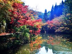 清川町宝生寺