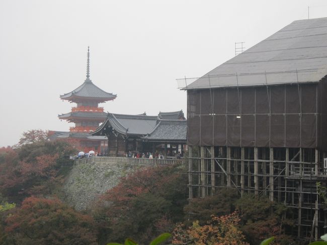 雨の中、京都国立博物館で開催している国宝展の鑑賞と少し紅葉してきた清水寺へ行ってきました。国宝展では大変な混雑で入館するまでと入館後も混雑していましたが鑑賞が終わる午後には入館者は並んでいませんでした。ただ金印を鑑賞するためには館内でさらに長い列に並ぶ必要がありました。また清水寺では大半が外国人で着物姿の外国人を多く見受けました。