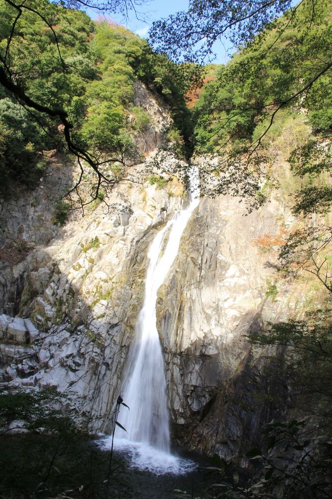 神戸布引ハーブ園の秋　散策してきました。