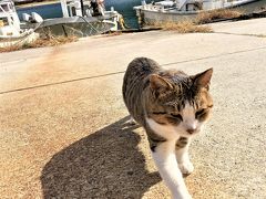 【2015年11月】島根・鳥取旅行（2）温泉津温泉から松江へ