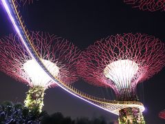 駐在のついでに 【その69】 シンガポール出張の夜に "Gardens by the Bay” を散歩！