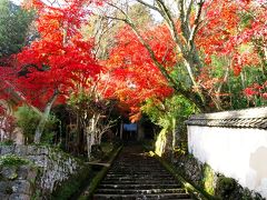 紅葉の丹波古刹・山南三山へ