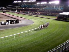 2017年 オーストラリア メルボルンで競馬漬けの旅 メルボルンカップ 1 メルボルン オーストラリア の旅行記 ブログ By おけら街道さん フォートラベル 2017年 オーストラリア メルボルンで競馬漬けの旅 メルボルンカップ 1 メルボルン オーストラリア の旅行記 ブログ By おけら街道さん フォートラベル