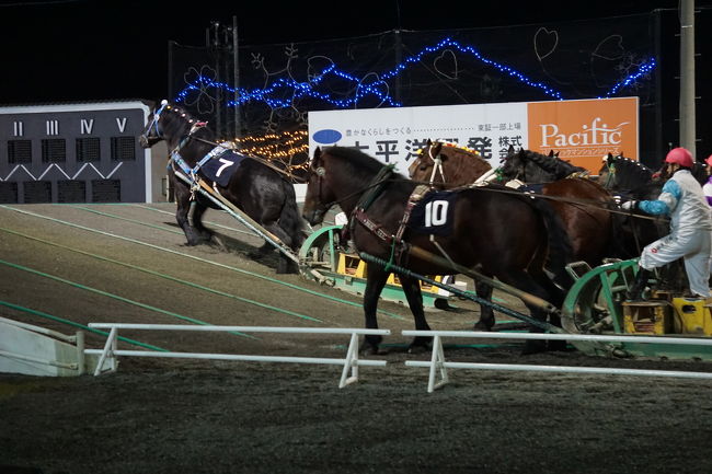 １１月５日(日)<br />２日目<br />札幌プリンスホテルロイヤルフロアに宿泊したので、朝食は夜ラウンジ になる最上階で景色もよく朝から海鮮親子丼、フォアグラ入りオムレツ旨かった。<br />後ろの席に有名スポーツ選手が家族でいてた。<br />この日は札幌から特急スーパーおおぞらで帯広へトクだ値１５の割引切符で行く。<br />帯広について六花亭帯広本店へ。<br />嫁と本店でしか食べられないメニューを選ぶ。<br />プレミアム２５(かぼちゃ)、帯広の森(秋)、ホットチョコレート、マルセイアイスサンドを食べた。本店でしか<br />レンタカーで愛国駅、幸福駅に行き、ばんえい競馬を楽しむ。<br />そのあと帯広駅の方に行き、夕飯は宴の一心に行く。<br />カニイクラ丼はここの店もかけ声でイクラの入れていきこぼれイクラのパターンで￥1000以下で旨かった。<br />前に行った札幌『はちきょう』ではここと同じぐらいの茶碗で￥1900やった。<br />牛フレーク丼、野菜メニューなども旨かった。<br />ここの卵は黄身の部分がクリーム色の卵やった。<br /><br /><br />＜北海道旅行 2017 11/4 ? 11/7 3泊4日予定＞	<br /><br />11月4日	<br />9:30	京都	10:30	伊丹空港	（移動）飛行機<br />12:10	伊丹空港	13:55	新千歳空港	（移動）レンタカー<br />14:30	新千歳空港	15:30	札幌	<br />16:00	札幌プリンス	（宿泊）札幌プリンス<br /><br />11月5日	<br />10:30	札幌プリンス	11:15	札幌駅	（移動）電車<br />11:53	札幌駅	14:21	帯広駅	（移動）電車<br />14:30	帯広駅（レンタカー）	15:00	六花亭	（移動）レンタカー<br />16:30	幸福駅	18:00	帯広グランテラスホテル （宿泊）帯広グランテラスホテル<br />18:30	ばんえい競馬	21:00	一心	<br /><br /><br />11月6日	<br />9:00	帯広	11:00	釧路	（移動）レンタカー<br />13:00	厚岸直売所	14:00	厚岸直売所	<br />15:30	摩周温泉	17:00	阿寒湖	（宿泊）ニュー阿寒ホテル<br /><br /><br />11月7日	<br />10:00	阿寒湖	12:00	柳月	（移動）レンタカー<br />13:00	柳月	14:15	帯広空港	<br />15:30	帯広空港	17:10	羽田空港	<br />19:00	羽田空港	20:10	伊丹空港	<br />21:00	伊丹空港	22:00	京都	