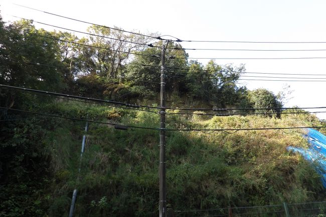 昨年から円応寺隣の崖が青いビニールシートで覆われるようになって、その崖がかつての巨福呂坂切通の跡であることに気が付いた。巨福呂坂切通は、鶴岡八幡宮の横から青梅聖天社の脇を通り、庚申塚・道祖神塚から横須賀市水道トンネル(旧海軍水道トンネル)を越えると消えてしまっている(https://4travel.jp/travelogue/10452541)。そのために、巨福呂坂洞門ができて、巨福呂坂切通が消滅してしまったものと思われがちであった。しかし、現実には巨福呂坂洞門手前の円応寺隣の崖に巨福呂坂切通の跡が残っているのである。<br /> 円応寺の裏山や禅居院の裏山の尾根には、かつての巨福呂坂切通と亀ヶ谷坂切通とのバイパス道が通っていた。今でも一部は掘割の道の跡が残っている。このバイパス道の下の山の中腹に掘削して切通が通っていたのだ。あるいは、この切通から円応寺の裏山を巡ってバイパス道とも繋がっていたとも考えられる。巨福呂坂切通は現在の巨福呂坂洞門を横切らずに円応寺山門前に下り、建長寺惣門前辺りに通じていたのだ。道路脇には円応寺の山門に上る坂道が並行してあるが、円応寺の山門前辺りからこの坂のような感じで建長寺惣門前辺りに下りていたのだ。しかし、今は道路で掘削されてしまっている。また、この道路の坂道は円応寺の山門に上がる階段を数mほど過ぎた巨福呂坂洞門寄りでピークとなっている。現在の道路は下って行く同じ工程を巨福呂坂切通では上って巨福呂坂洞門脇の峠に至っていたのである。この峠から庚申塚・道祖神塚まではバイパス道と道路との間の中腹の平地に巨福呂坂切通の街道があったとする説もあるが、この峠とバイパス道が繋がっていて然るべきであろう。確かめたい事項である。<br />(表紙写真は巨福呂坂切通跡)<br />