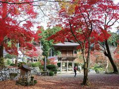 丹波・篠山の紅葉巡り