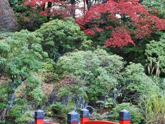 富士屋ホテルの紅葉（菊華荘・11月16日）