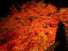 ２０１７年１１月１７日現在・播州清水寺で紅葉ライトアップ