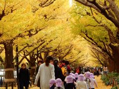 「　都心の紅葉さがし　神宮外苑　～　代々木公園　さんぽ　」2017