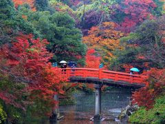 錦秋の北陸城めぐり②高岡古城公園