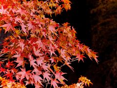 11月上旬の紅葉、奥秩父にある中津川渓谷へ