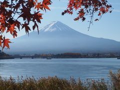 河口湖畔から見える富士山　さまざまな姿ともみじのコラボ　似合いますねえ