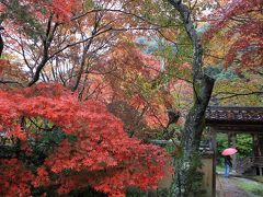 勝持寺（花の寺　）の紅葉　京都市西京区大原野