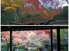 ２０１７年　叡山電鉄沿線の紅葉「圓光寺」と「瑠璃光院」