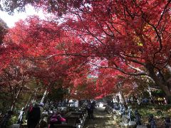 大山登山と紅葉狩り最後は七沢温泉 お気軽日帰り旅