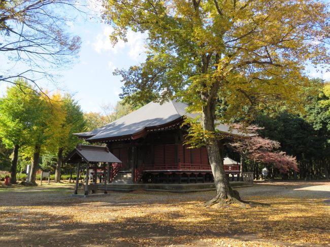 11月16日、午前10時40分過ぎにサイクリングで自宅から5キロの所にある多福寺、木ノ宮地蔵堂、多聞院、神明社へ紅葉を見るために行った。 午前11時半過ぎに多福寺より、多聞院へ行く途中にある木ノ宮地蔵堂を訪問した。銀杏の黄葉と建物の色との対比が美しい風景をなしている。<br /><br />〇木ノ宮地蔵堂について・・・説明文による<br />古くから信仰を集めてきた上富にある木ノ宮地蔵堂。その縁起は、坂上田村麻呂と結びつけて伝えられていますが、真相については明らかではありません。江戸時代まで何度かの荒廃や焼失などの記録があり、現在の堂は、安永6年(1777)に再建されたものです。その本堂内には木造の地蔵菩薩が安置され、天井には107枚の植物画が描かれています。<br /><br />*写真は木の宮地蔵堂