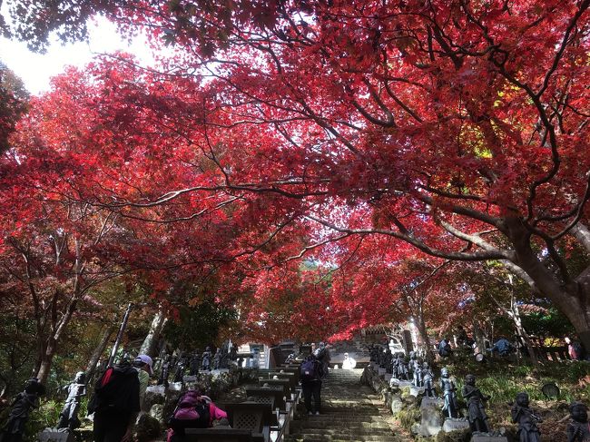 11月17日に神奈川丹沢山系の大山に紅葉狩りを兼ねて登山に行ってきました。<br /><br />大山寺や阿夫利神社の紅葉は美しく、10年ぶりの登山も楽しかった。<br /><br />帰りに七沢温泉で日帰り入浴もしてきました。<br /><br />大山はケーブルカーを使えば簡単に登れる初心者向きの山です。<br /><br />朝8時半に保土ヶ谷の家を出発。<br />保土ヶ谷バイパス、東名自動車道を通り、厚木西インターで下り、246を抜け大山ケーブル入り口に着いたのは10時過ぎでした。<br /><br />途中コンビニでおにぎりとお茶とスポーツドリンクを購入。<br /><br />平日だからか大山ケーブル下の駐車場はなんとか確保できました。