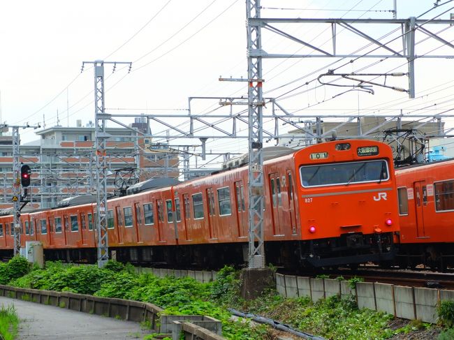 つい先ほどまで野放図に暑かった夏が終わり大阪にも涼しさが舞い降りてきました。<br />その矢先に１つの別れが訪れました。<br />今更50歳を越えたおっさんに何が別れかと言わんばかりですが、大阪環状線のオレンジ色103系がついに引退することになったのです。その日は2017年10月3日。<br /><br />103系が大阪環状線に登場したのは1969年（昭和44年）だったそうです。<br />私にとってオレンジ色の103系といえば中央線でした。でもそれも随分昔の話です。<br />3年前に大阪に来てまず驚いたのは、いまだに103系が大阪環状線で現役で活躍していたこと。<br />しかしついにその昭和の「かまぼこ型」にもお別れの時がやってきました。さらば昭和組。<br /><br />