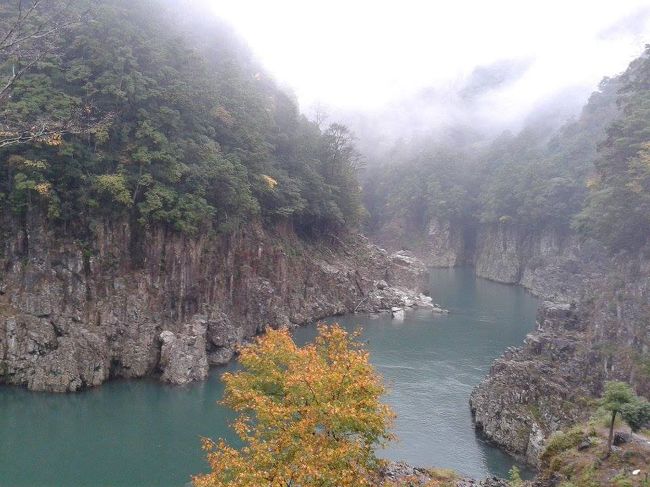 十津川村は名前だけは昔から知っていたものの奈良県中心部からは遠過ぎて一度も行った事がありませんでした。<br /><br />中心部から遠いどころか南部、それも電車で行ける吉野の最終地点からですら遠く、南吉野の他の村（下北山村・上北山村など）と同じく「陸の孤島」というイメージでした。<br /><br />どれくらい遠いかというと、電車で行ける最終地点「五条駅」から奈良交通バスで約３時間かかります。八木駅（十津川行きバスの始発駅）からだと４時間半ほどです・・・沖縄、北海道とかアジアに飛ぶより遠いのです・・・<br /><br />この南吉野の村々は都心から遠過ぎて逆に秘境感は大きく、山に囲まれていて神秘的なイメージがあり憧れの地でもありました。<br /><br />十津川村は地理的に見ると高野山からはさほど遠くなく（でも公共交通機関だけで行くと結局とても遠いのですが…）今回、高野山へ行く事を決めたと同時に十津川村に行く事も決めました。<br /><br />そしてこの旅のほんの数ヶ月前まで存在も知らなかった「瀞峡」の写真を初めて見て素晴らしい風景！行きたい！と、瀞峡巡り計画も即決したのでした。<br /><br />公共交通機関だけでこれほどの秘境に行くのがどれだけ大変かは計画中にじわりじわりと実感して行く事になります…<br /><br />そして十津川村には熊野古道小辺路のルートがあります。これも２年前まで知らなかったのですが、勿論、こちらも旅の計画に。<br /><br />大変な思いをして、でも実現できた熊野古道小辺路と瀞峡巡りは達成感１００％、とても良い経験、思い出となりました。<br /><br />ちなみに私達が利用した奈良交通バスの八木新宮特急バスは、キャンペーンをやっていて指定の宿（村内の殆どのホテル・旅館）に宿泊するとバス代が無料になりました！　<br /><br />私達の場合は往復で約６０００円×二人分が無料になり、とても助かりました！<br /><br />このバス代無料キャンペーン、結構やっている時期が多いので興味のある方は是非、奈良交通のHPを覗いてみてください。<br /><br />ちなみにこの八木新宮線は高速道路を使わない路線では、日本一の走行距離の路線バスだそうです。