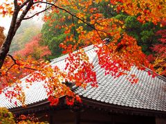 紅葉の日吉大社と永源寺・百済寺へ