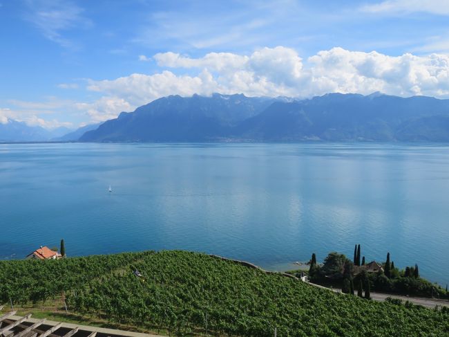 イタリア・スイス・フランスをめぐる8泊10日の夏の旅<br />5日目の宿泊地は世界文化遺産「ラヴォー地区の葡萄畑」の中にあるB&B<br />レマン湖に面した素晴らしいロケーションでした。