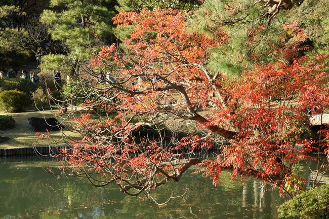 新宿まで遠出してお昼をいただいて。折角天気も良いし、すぐ帰るのも…新宿御苑もえぇけど、ちょっと遠回り。駒込まで行ってみましょうか。六義園、きっと混んでるでしょうけど。