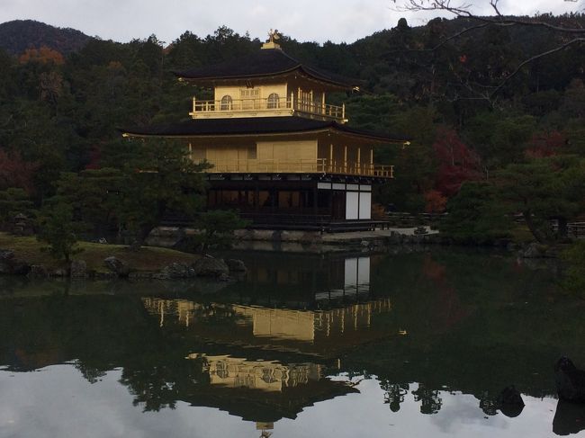 金閣寺が見たくて、突然、京都へ行きました。きぬかけの路という近くの二つのお寺を巡るコースがあったので歩いてたどってみました。少し寒かったですが、紅葉もすてきでした。